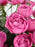 Cerise