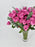 Cerise