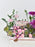 Anastasia Money Garden