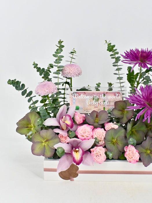 Anastasia Money Garden