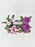 Anastasia Money Garden