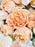 Peach and Blush Garden Bloom