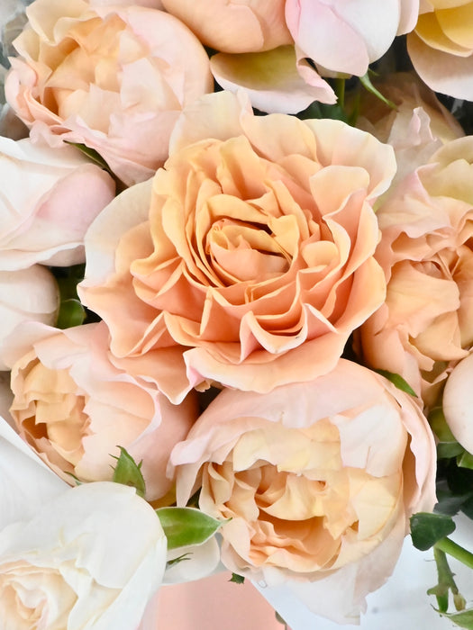 Peach and Blush Garden Bloom