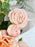 Peach and Blush Garden Bloom
