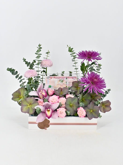 Anastasia Money Garden