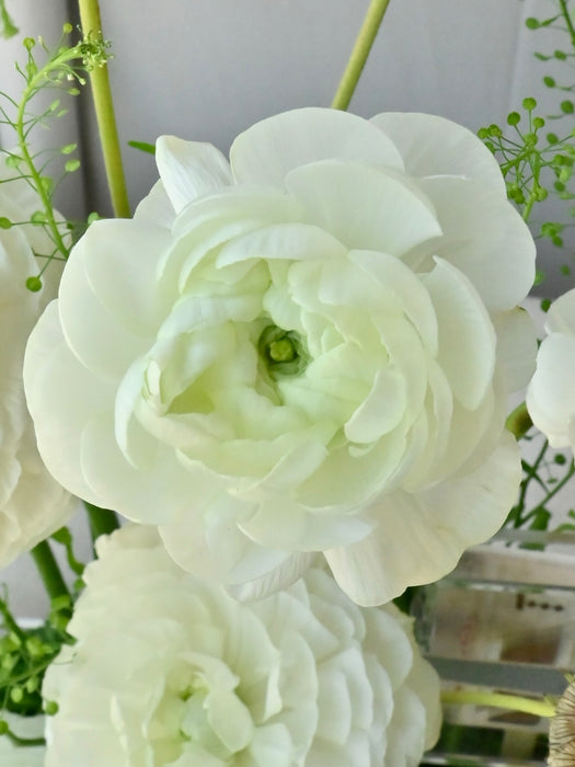 Luxe Garden Floral Money Arrangement