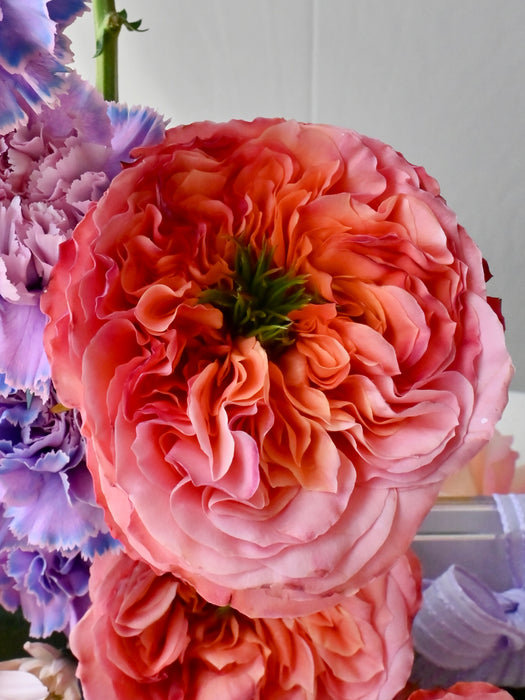 Coral Dreams Floral Arrangement