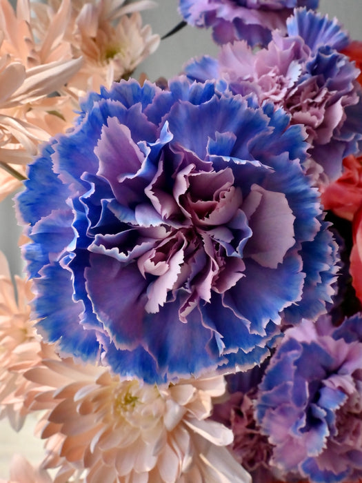 Coral Dreams Floral Arrangement