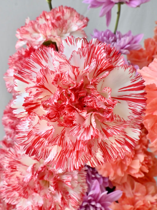 Coral Dreams Floral Arrangement