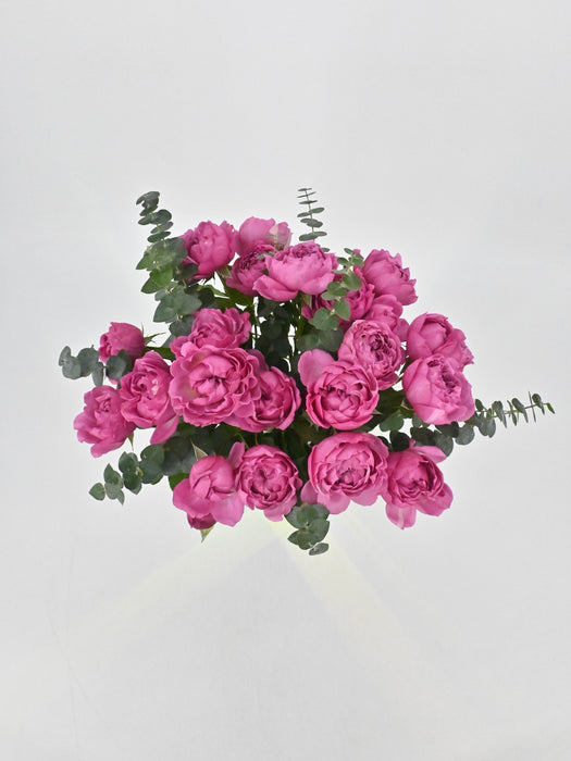 Cerise love