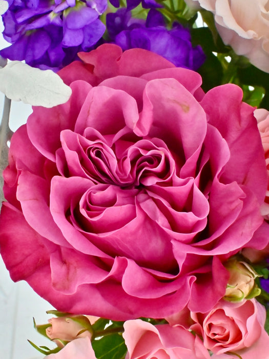 Sweet Beauty