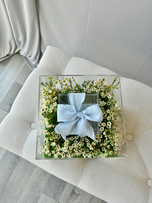 Chamelaucium Money Gift Box with Blue Ribbon