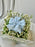 Chamelaucium Money Gift Box with Blue Ribbon