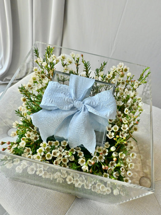 Chamelaucium Money Gift Box with Blue Ribbon