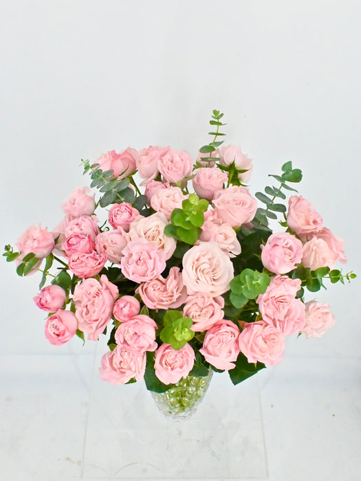 Bombastic Bloom