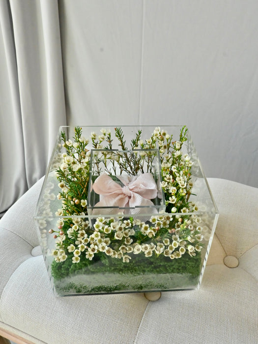 Chamelaucium Money Gift Box with Pink Ribbon