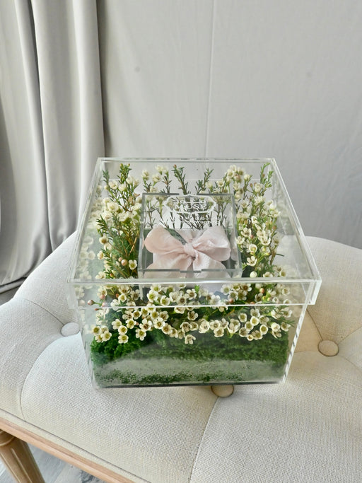 Chamelaucium Money Gift Box with Pink Ribbon