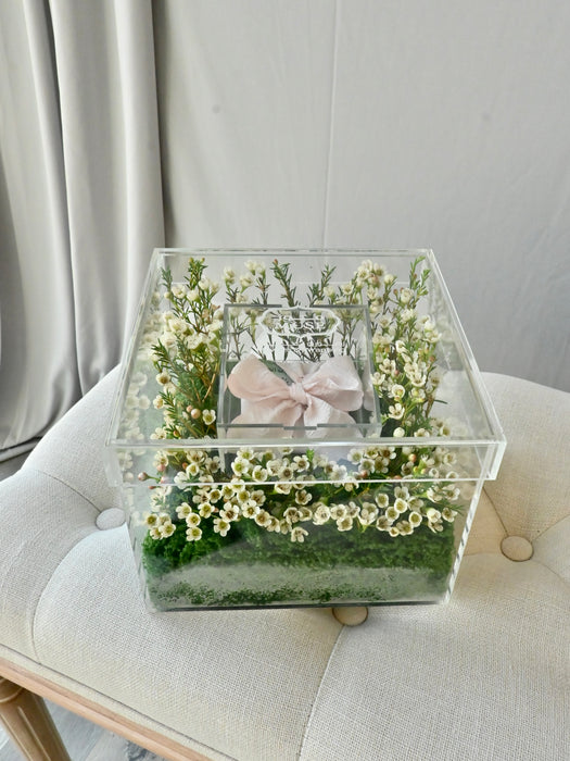 Chamelaucium Money Gift Box with Pink Ribbon