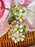 Pink Blossom Money Gift Basket