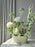 Coco Chrys Money Flower Garden