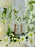 Coco Chrys Money Flower Garden