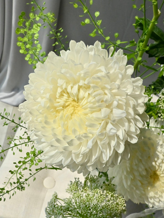 Coco Chrys Money Flower Garden