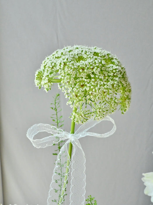 Coco Chrys Money Flower Garden