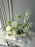 Coco Chrys Money Flower Garden
