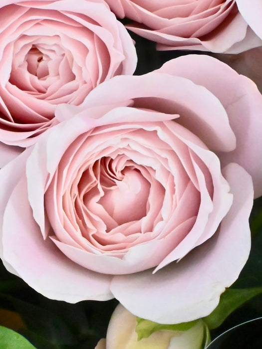 Fairy Kiss Bouquet