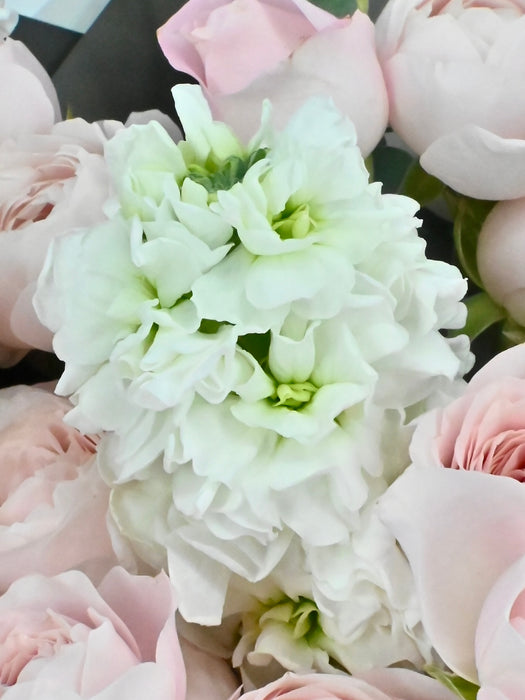 Fairy Kiss Bouquet