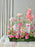 Pink Garden Elegance Money Gift