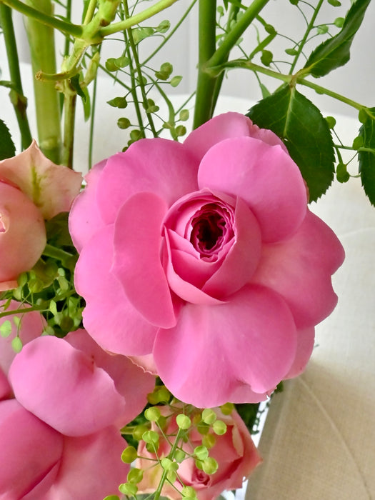 Pink Garden Elegance Money Gift