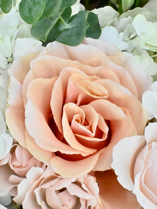 Antigua Bloom