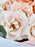 Antigua Bloom