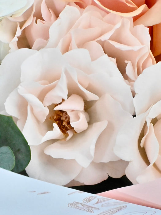 Antigua Bloom