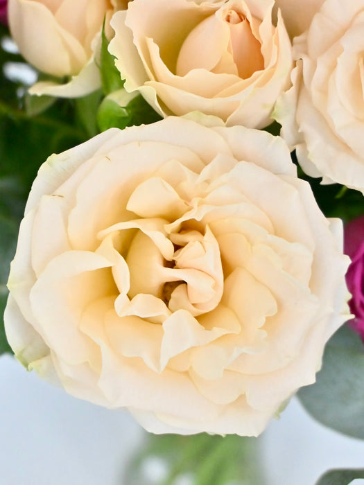 Rowena Roses Spray Garden Roses — MUSE Flowers & Wrapping