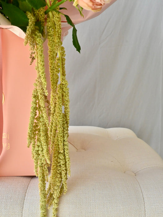 Blush and Bloom Money Gift Bouquet