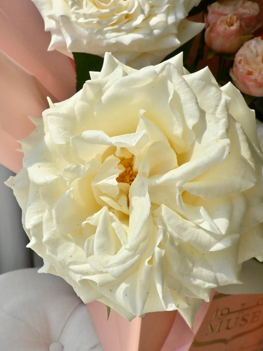 Blush and Bloom Money Gift Bouquet