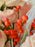 Blush and Bloom Money Gift Bouquet
