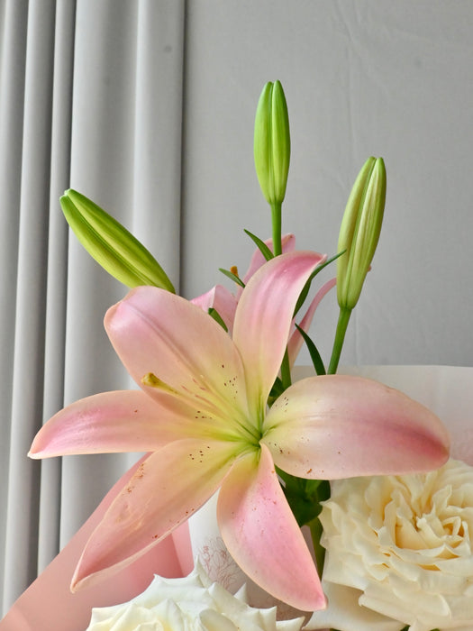 Blush and Bloom Money Gift Bouquet