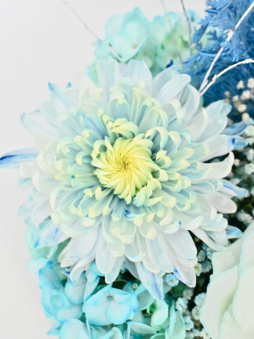Light Blue Money Garden