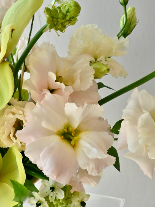 Lime Blossom Elegance