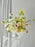 Lime Blossom Elegance