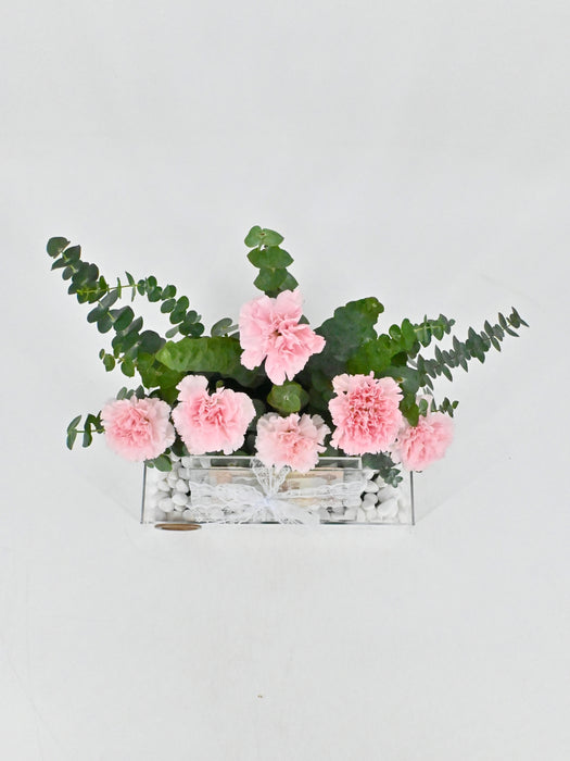 Pink Ruffles