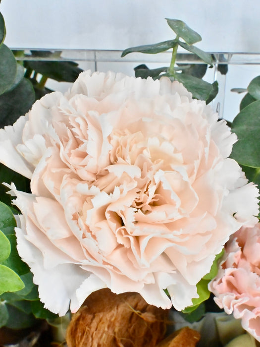 Pink Craft Garden