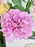 Pink Craft Garden