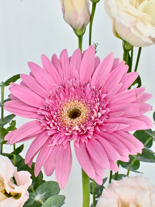 Pink Craft Garden