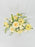 Buttercup