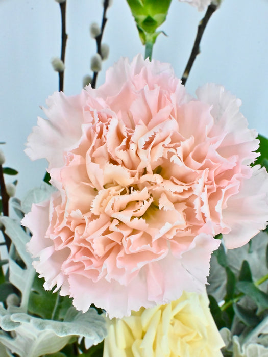 Blooming Garden