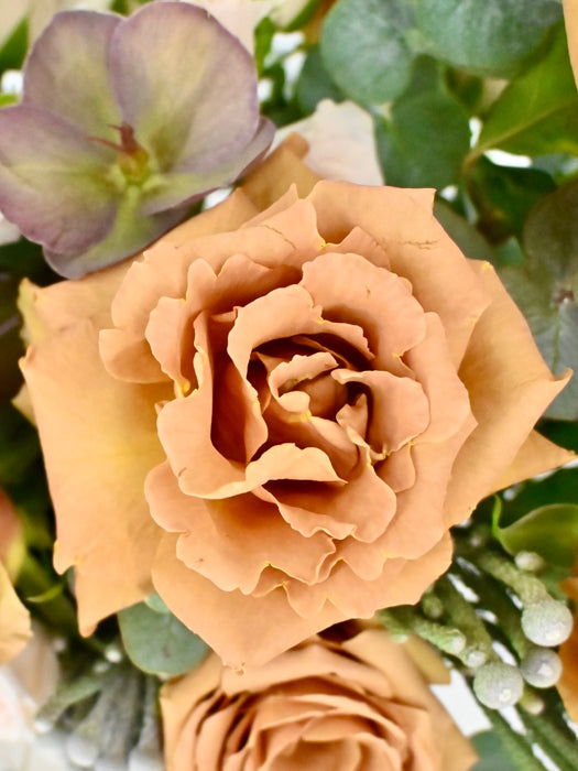 Toffee Money Garden